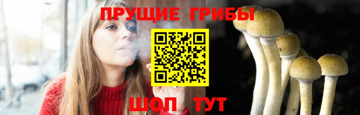 Городец  Галлюциногенные грибы ЛСД  Вход с VPN 